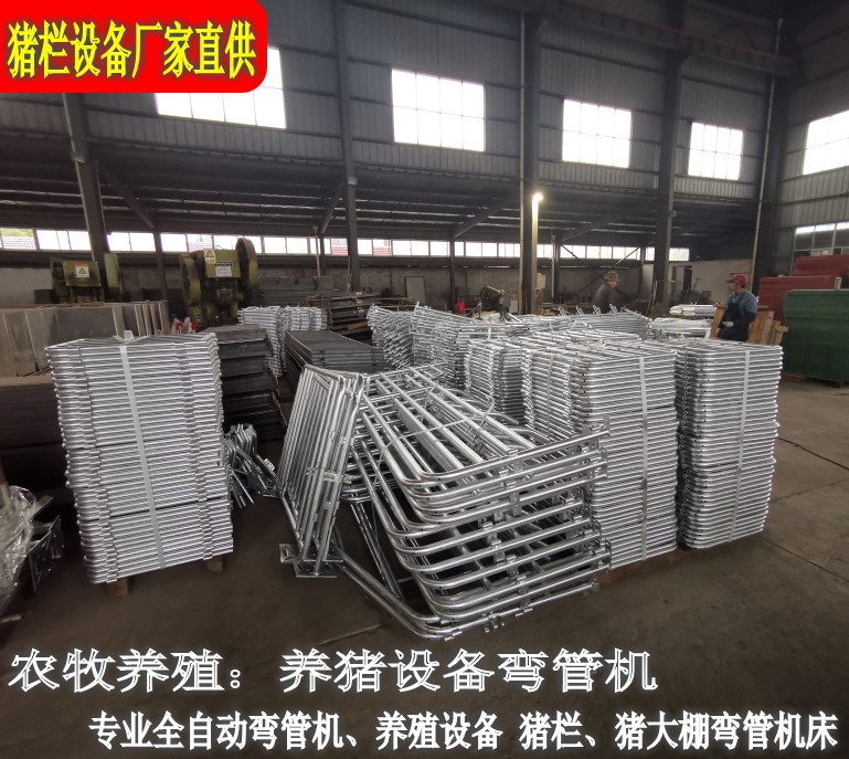 现代化科学养殖养猪猪大棚设备,我们公司主营管类加工机床弯管机,养猪